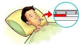  Example Procedure Text (How to Reduce a Fever Without Medication)